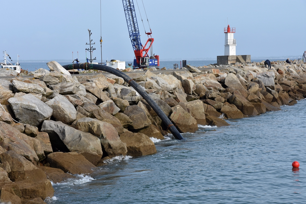 Clap de fin Port Haliguen Quiberon  2018 + 2019 + 2020 + 2021 + 2022 ! - Page 3 Dsc_4128