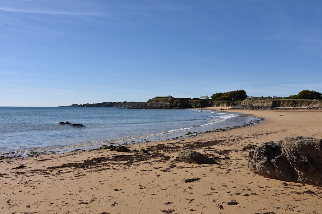 Côte Sauvage coté Finistère Sud ! Dsc_4325