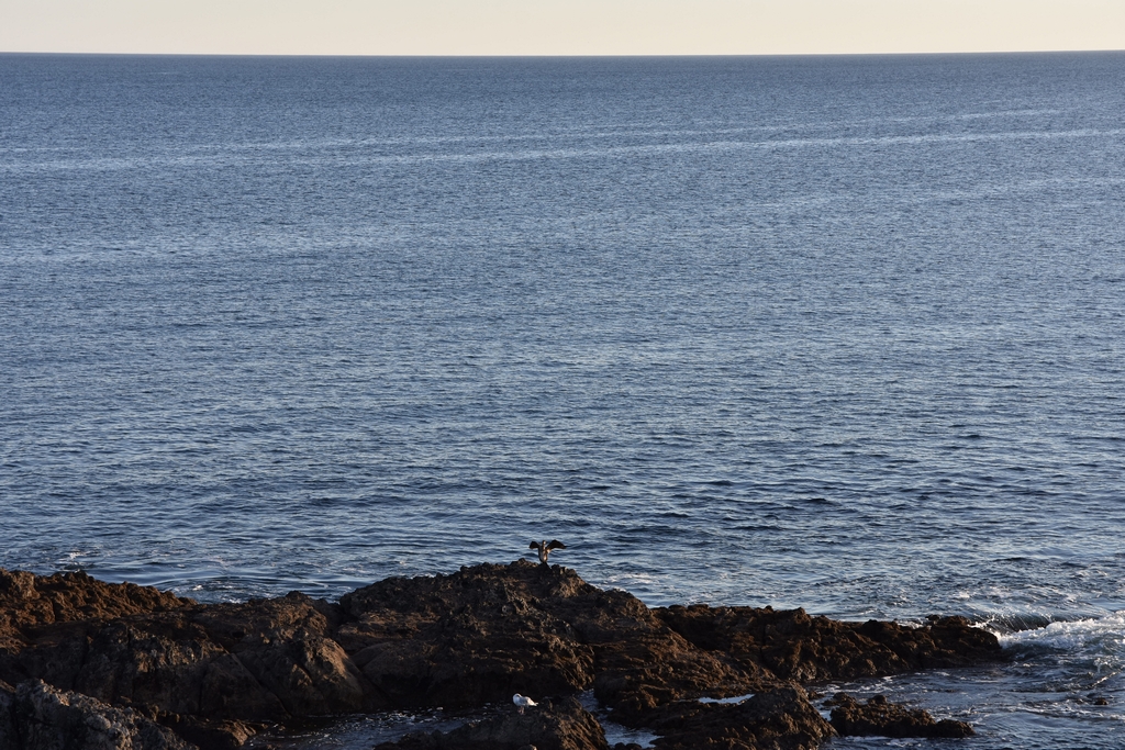 Côte Sauvage coté Finistère Sud ! Dsc_4327