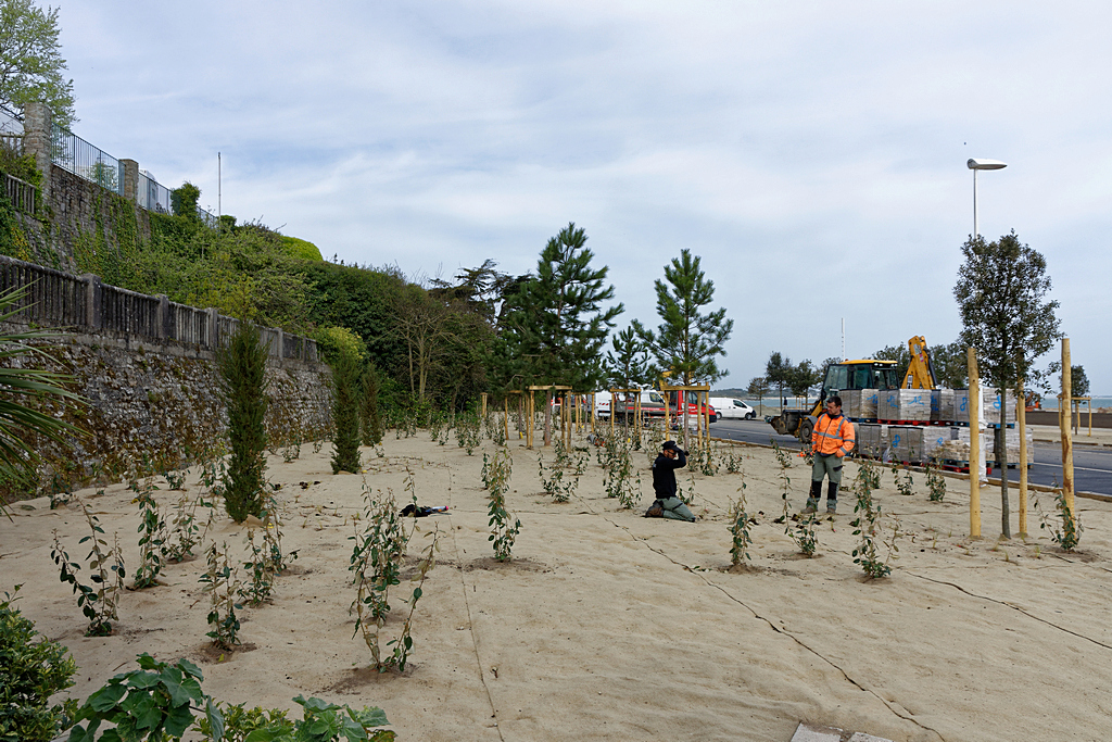 Clap de fin Port Haliguen Quiberon  2018 + 2019 + 2020 + 2021 + 2022 ! - Page 10 Dsc_4542