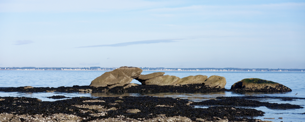 Le baisé des amoureux de pierre !!! Dsc_5435