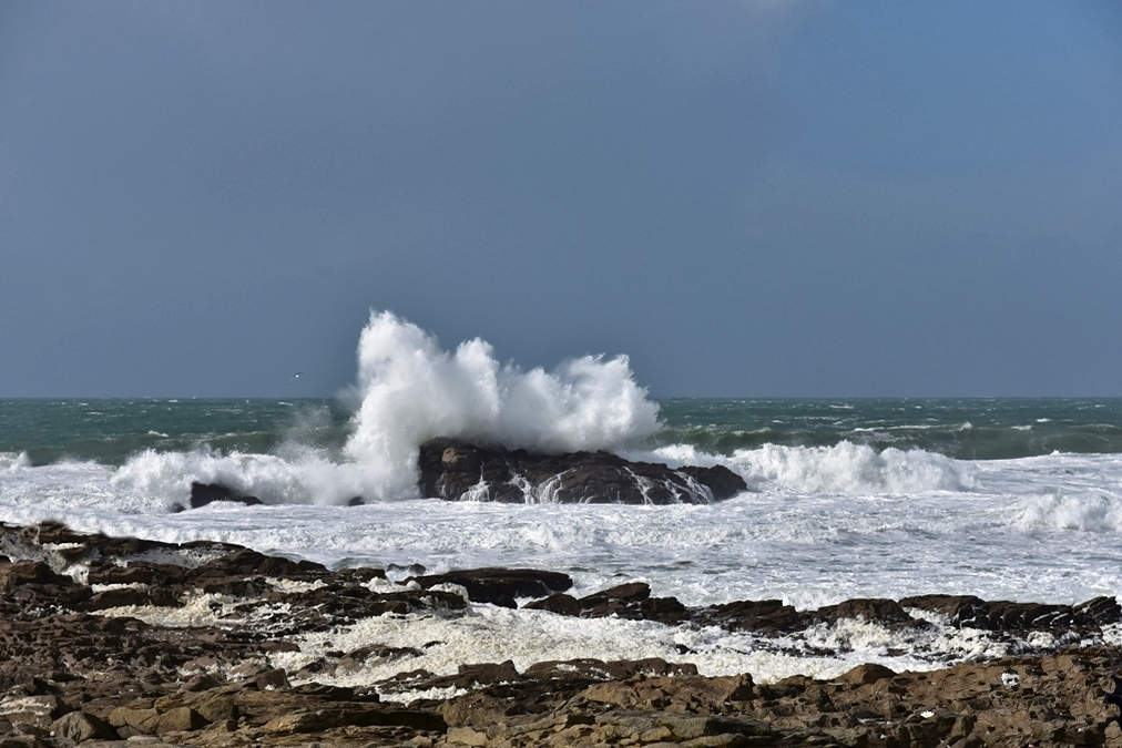 Grosses vagues du classique ! Dsc_5722