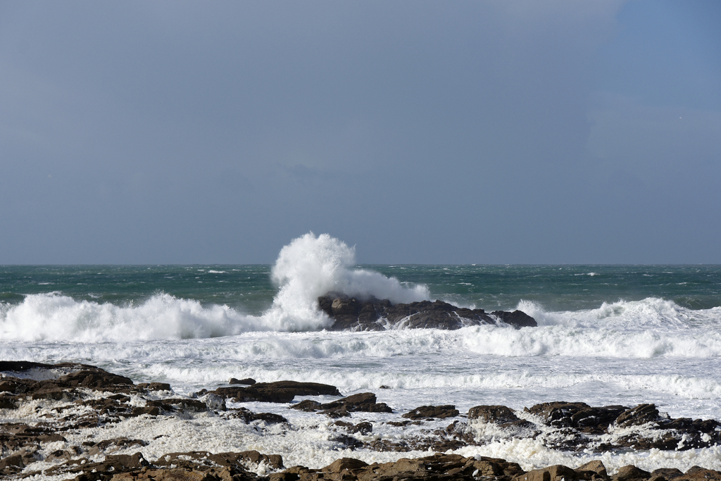 Grosses vagues du classique ! Dsc_5724