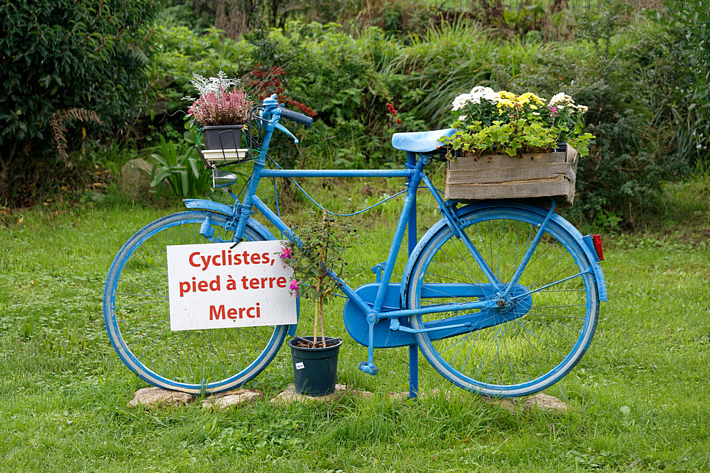 Vélo écologique version "soft" ou version "dur" !!! Dsc_5741