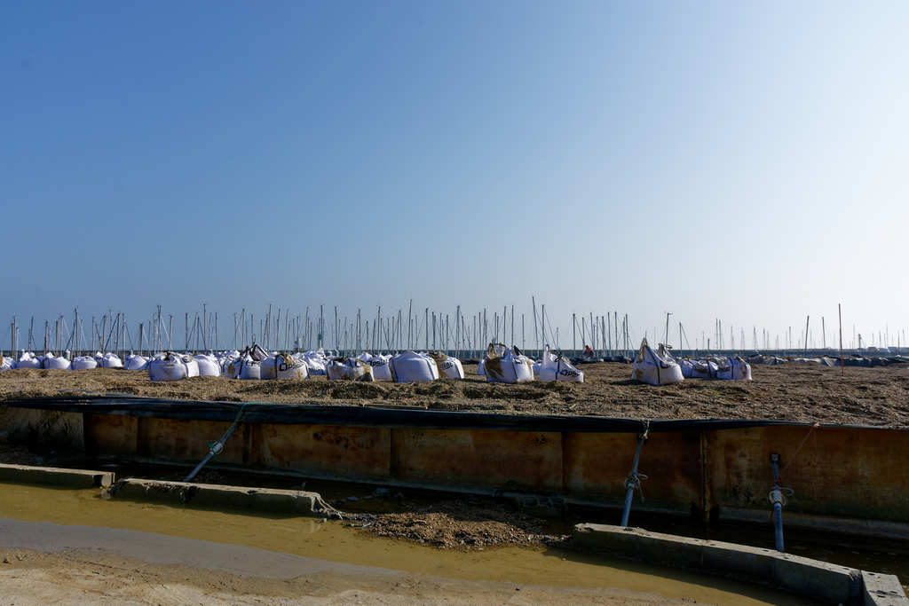 Chantier Port Haliguen Quiberon 2018 + 2019 + 2020 ! - Page 6 Dsc_5925