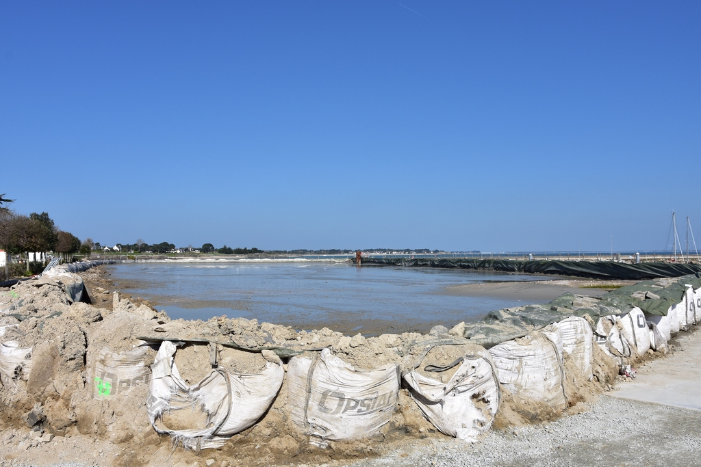 Clap de fin Port Haliguen Quiberon  2018 + 2019 + 2020 + 2021 + 2022 ! - Page 6 Dsc_6027