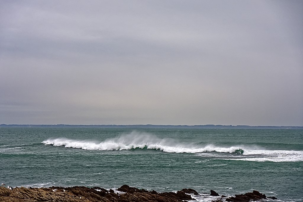 Pas un temps pour prendre des photos en bord de mer ! Dsc_6242