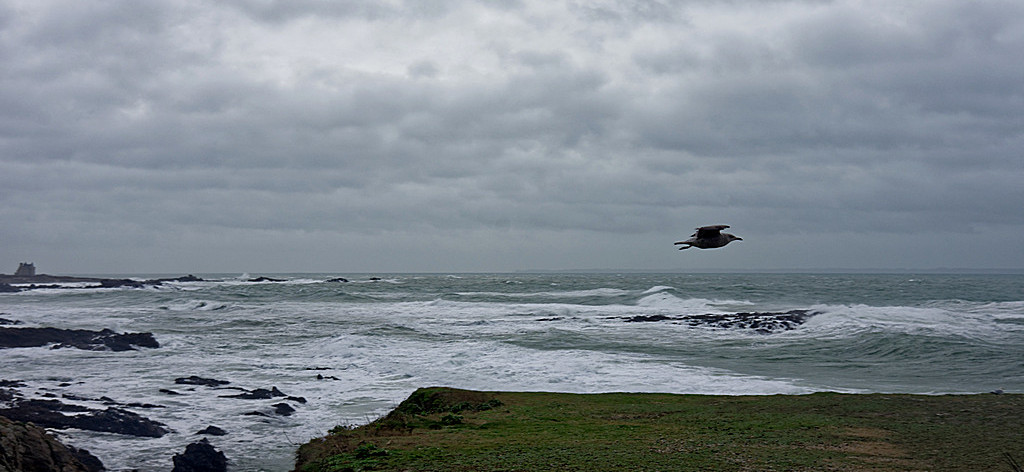 Je ne fais que passer, excuse moi le photographe ! Dsc_6346