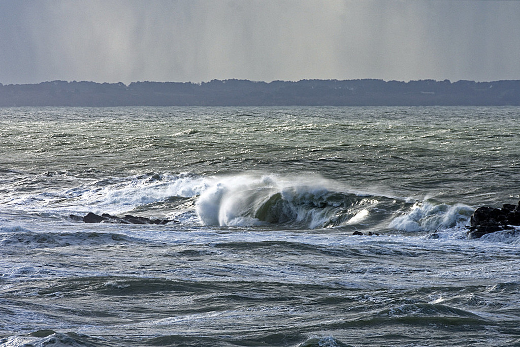 Furie maritime to contined + ajouts ! Dsc_6420