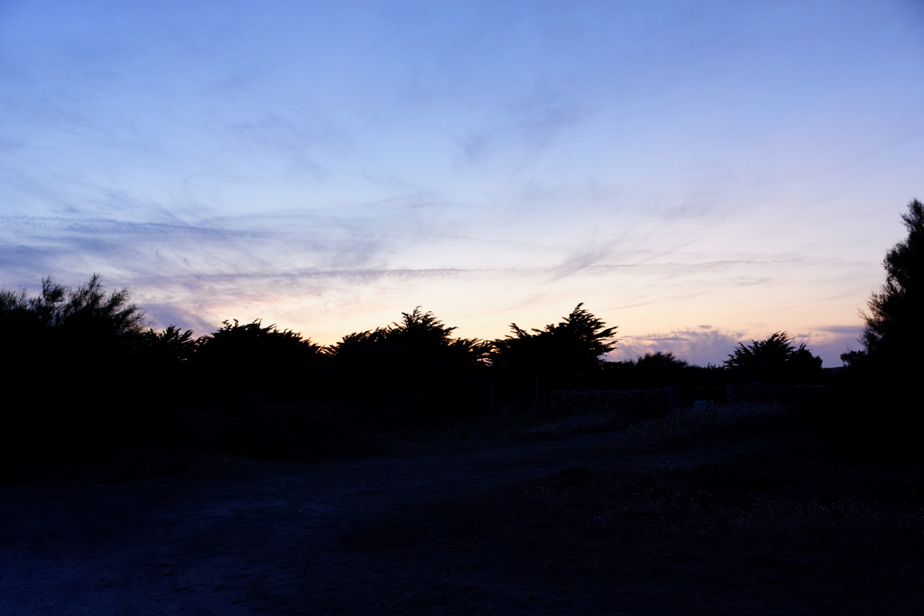 L'heure bleue Dsc_6711