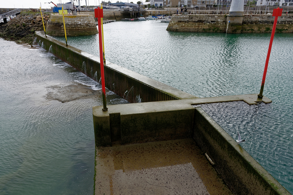 Chantier Port Haliguen Quiberon 2018 + 2019 + 2020 ! - Page 8 Dsc_7135