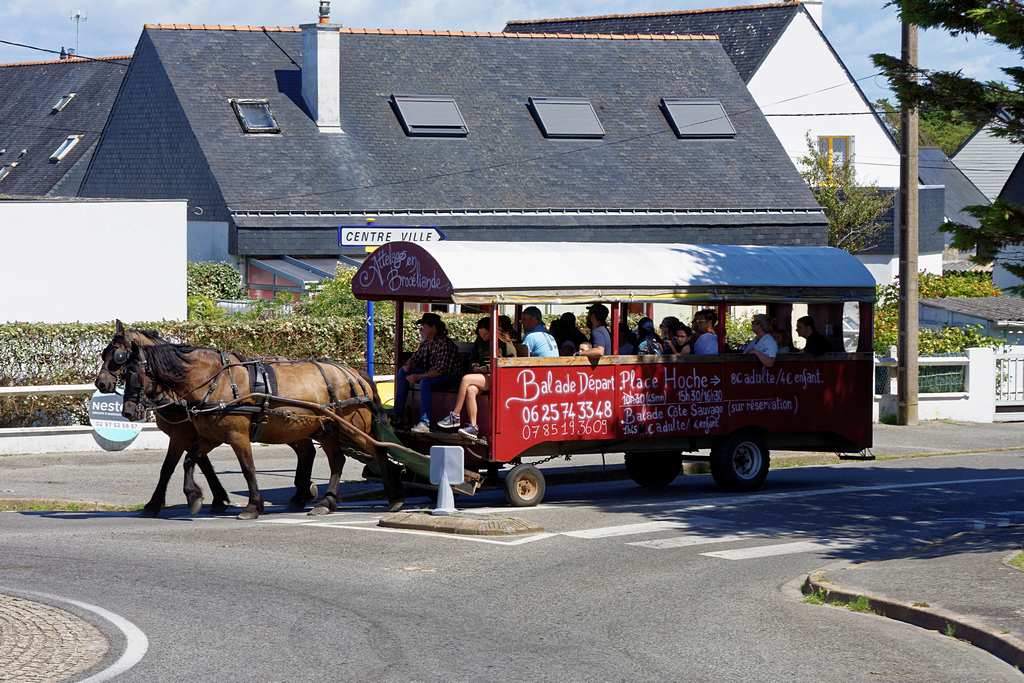 Une "deux chevaux" passagers !!! Dsc_7625