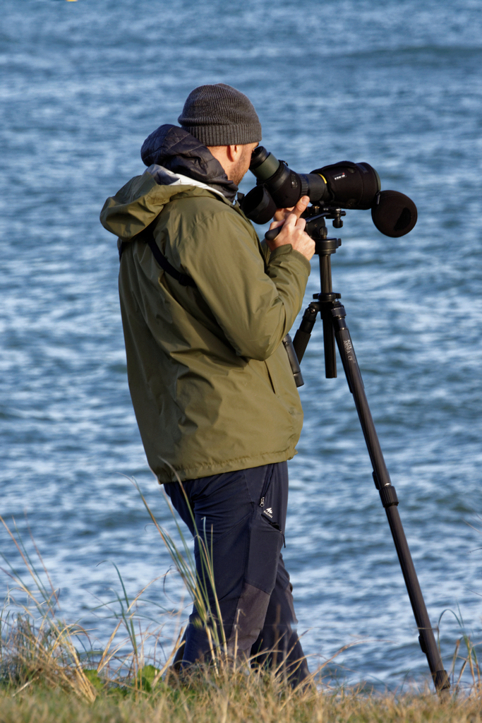 L'observateur des oiseaux ! Dsc_9013