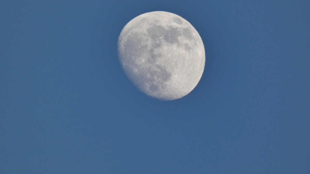 ptit bout de lune  P1090010