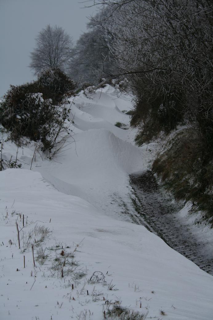 Sortie dans la neige !!! Touva10