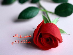 الهدف من المنتدى 5810