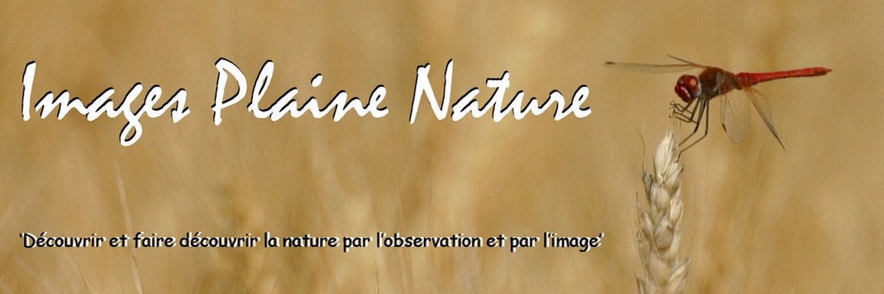 3ème Images Plaine Nature (Longecourt-en-Plaine)
