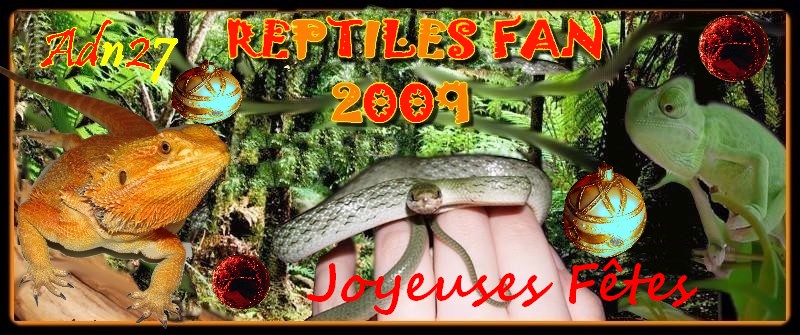 Reptiles fan