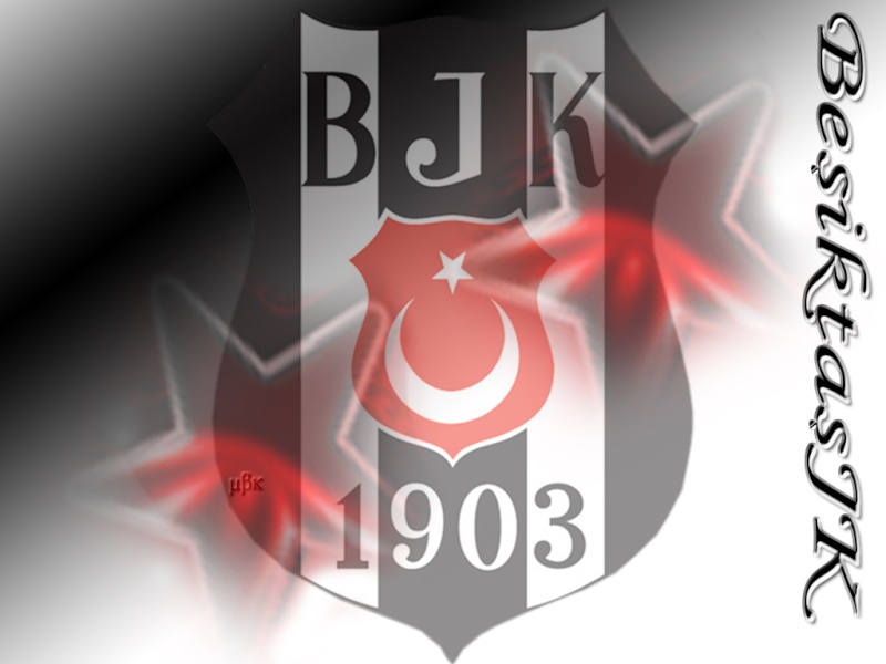 Beikta Wallpaper Bjk14910