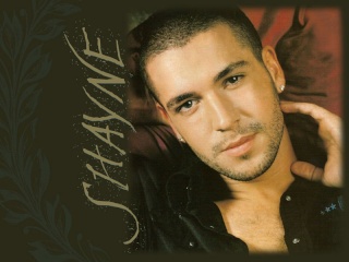 Shayne Ward Shayne10