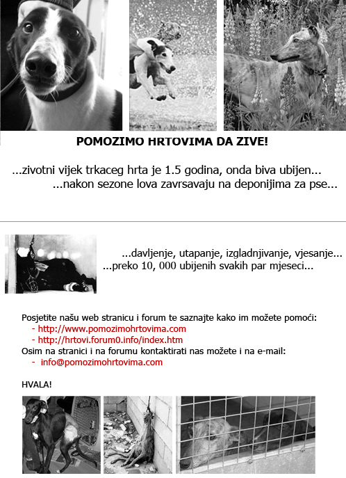"promo" materijali - Page 3 Hrtovi10