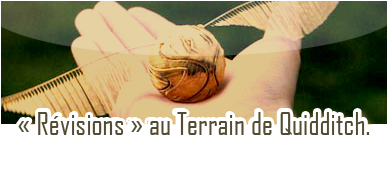 « Révisons » au Terrain de Quidditch. | PV. Edward | Yaaaaa12