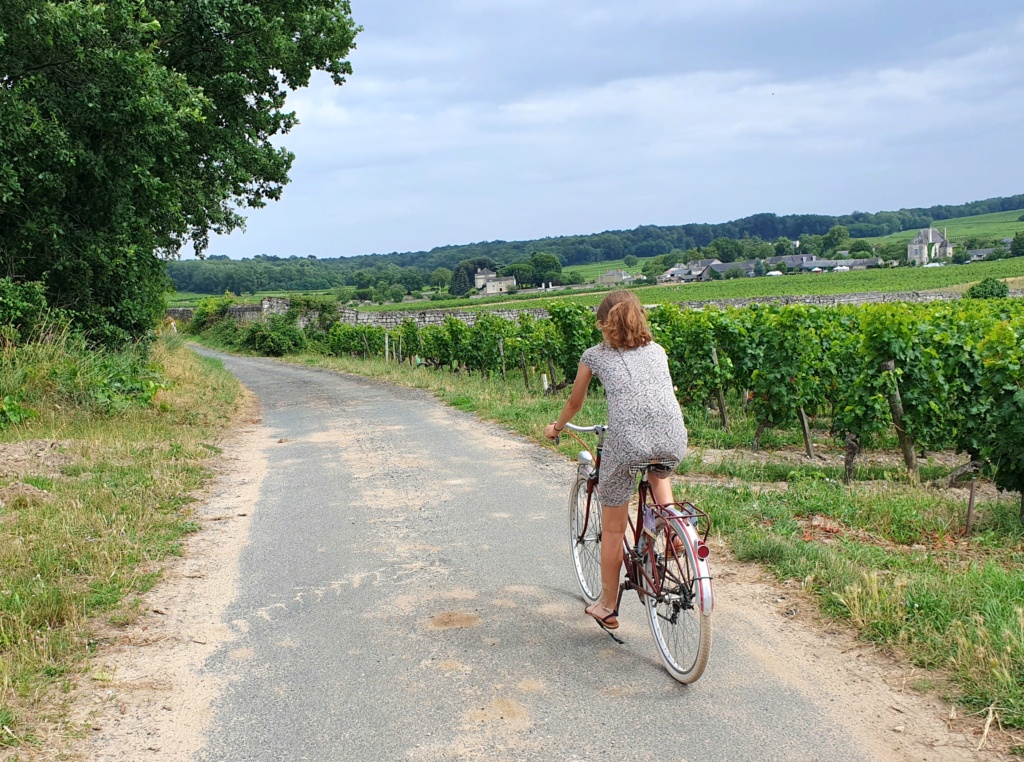 2024 - Anjou vélo vintage, 28-29-30 juin 2024 - Page 2 20230738