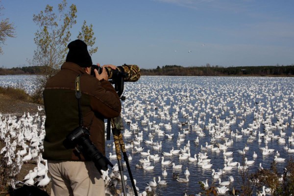 Je fais le souhait que vous compreniez un jour.... Nature10