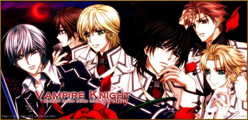 Vampire Knight Destiny