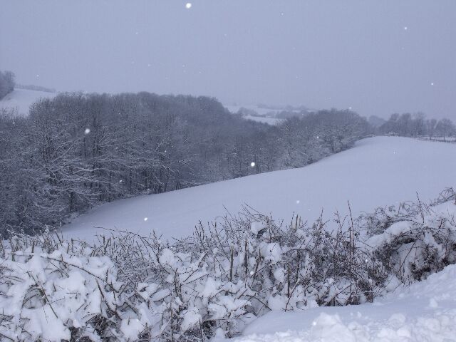 Putain marre de la neige  !!! - Page 2 Dscf0312