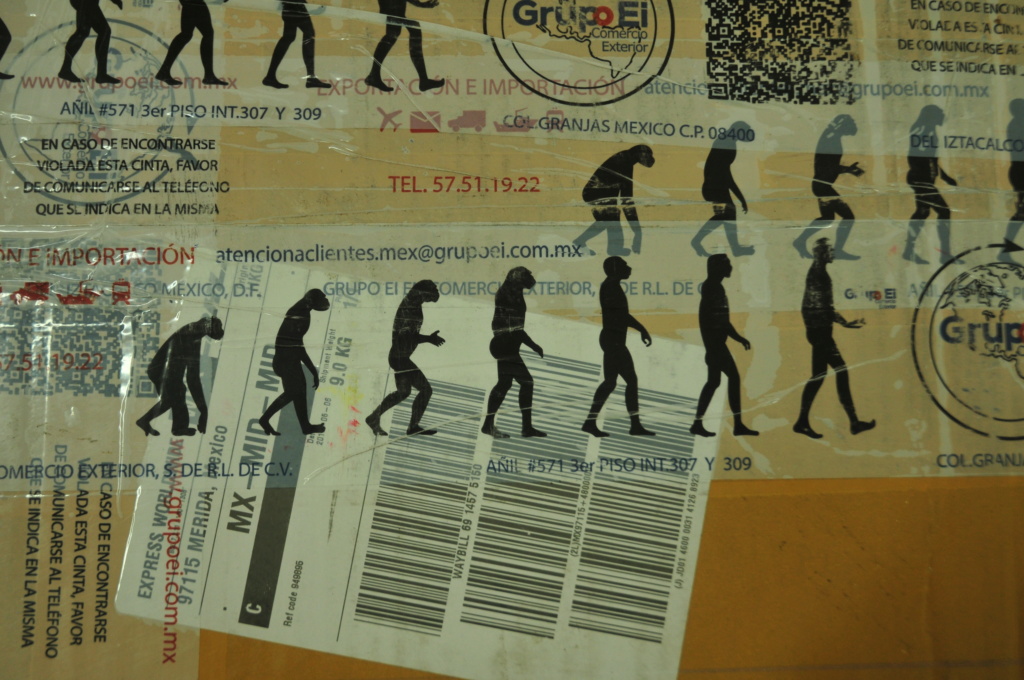 Evolution humaine à l'aéroport de Mexico.. Mex_2910