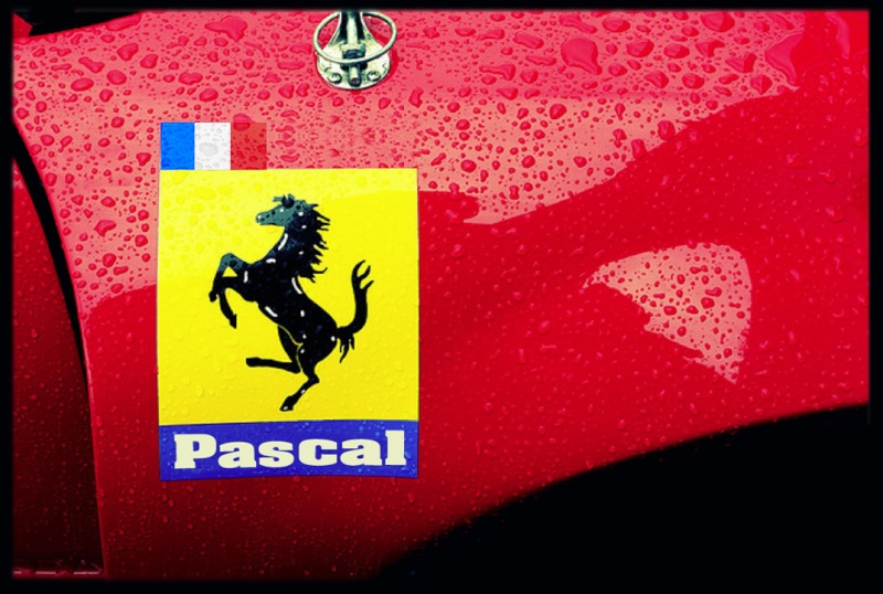 F.G. anniversaire Pascal10