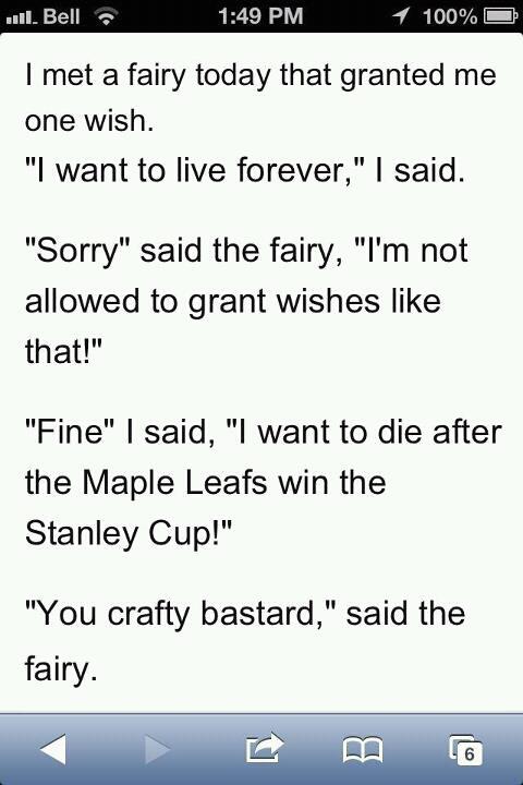 Maple Leafs 16507810