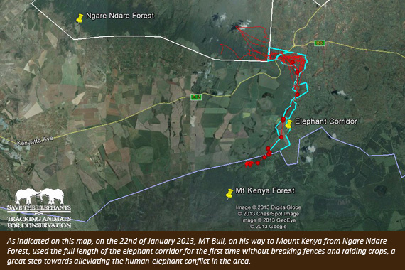 Lewa Wildlife Conservancy Lewa_310
