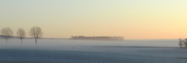 Quelle est la plue jolie photo de pluie ou brouillard, notre 10ème concours.... - Page 3 Nayati10