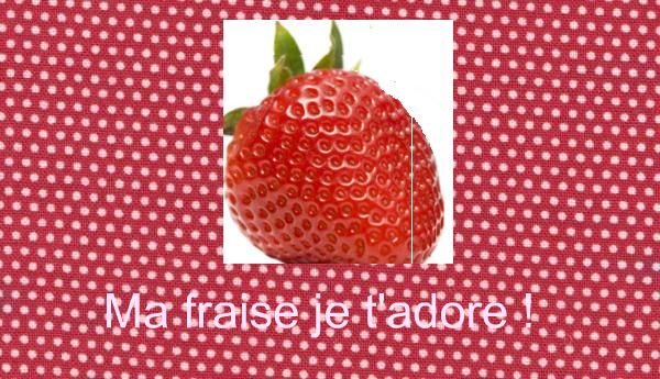 Ma fraise que j'adore Tissu-10