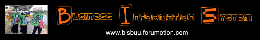 Business Informatiom System