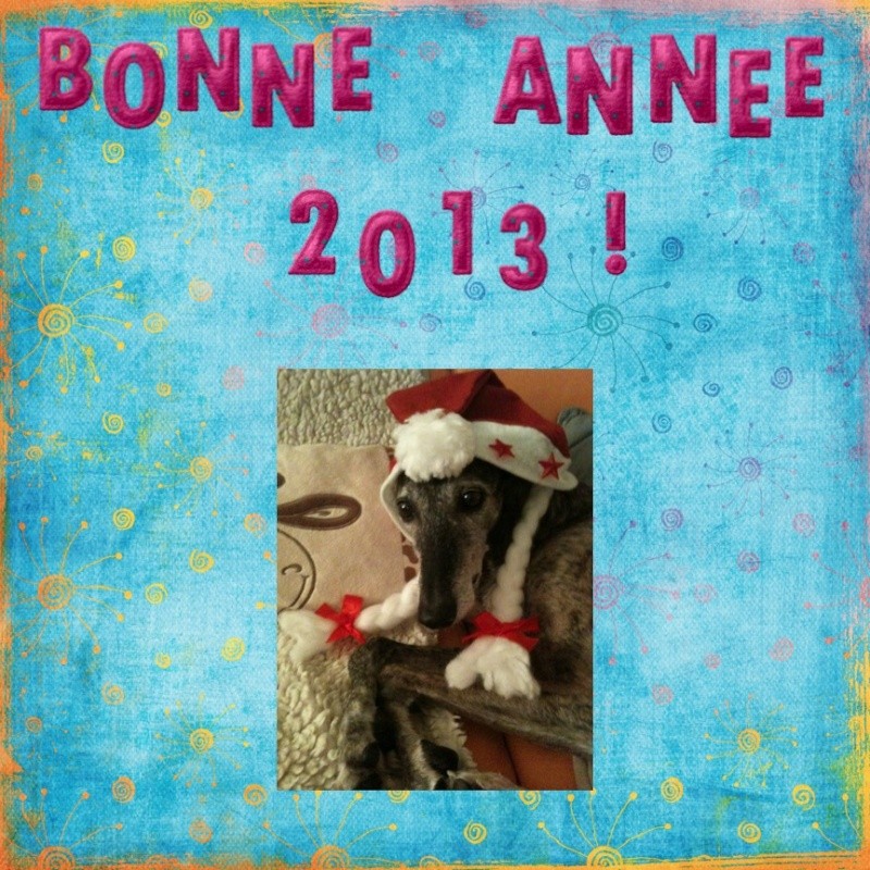 Bonne année 2013 Bonne_10