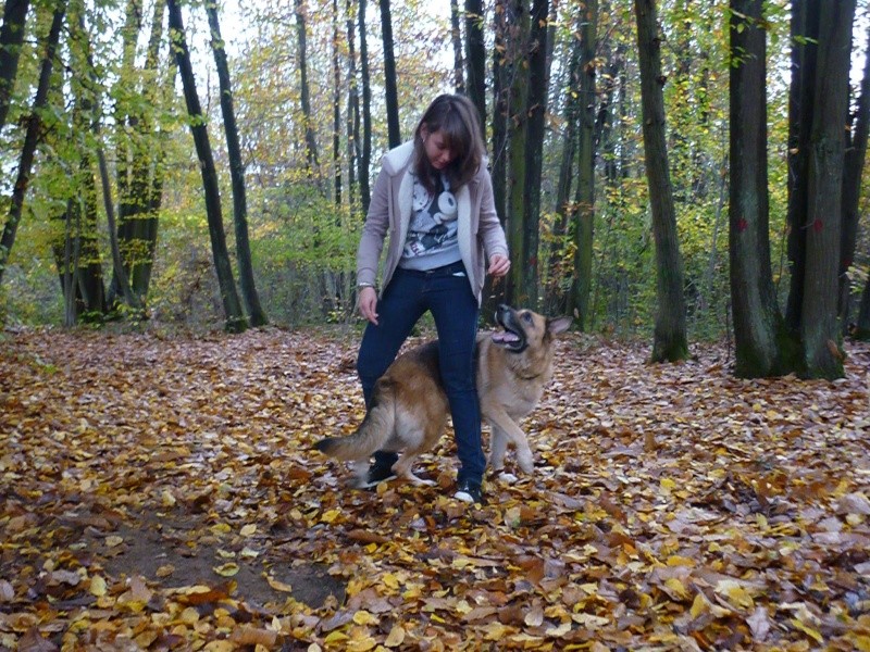 BAIKA, 6 ans, Adoptée par Maud. - Page 2 5novem11