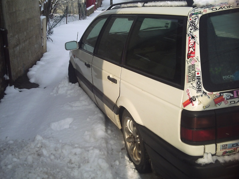 passat  35 i en préparation harlequin  00110