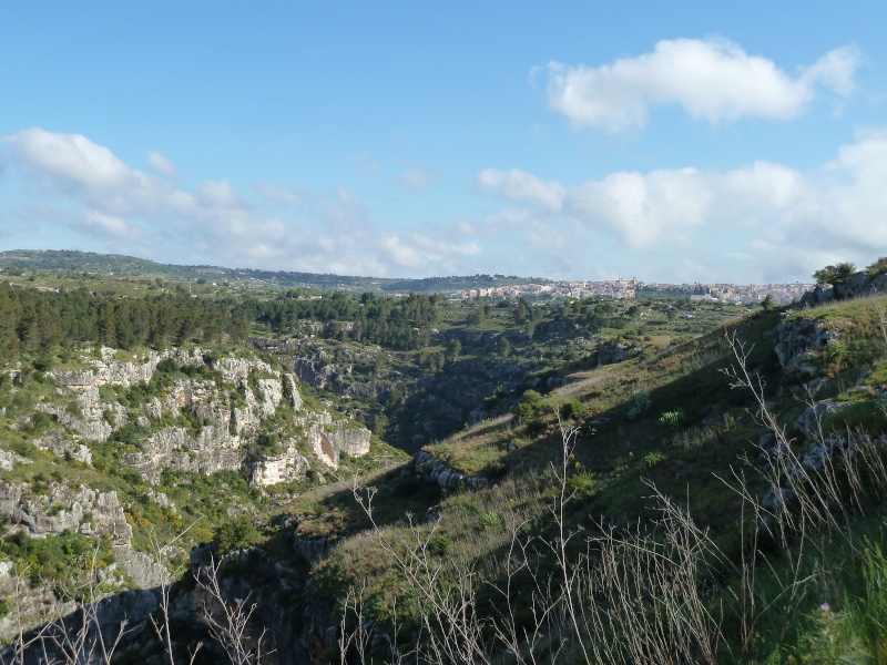 Gargano et Sicile, printemps 2011 (partie II) - Page 3 Sicile57