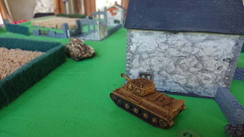 tanks - Tanks : le jeu de figurine Dsc_8613