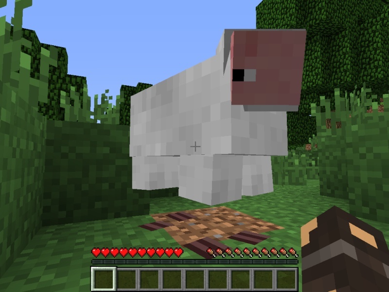 Nos screens Mouton10