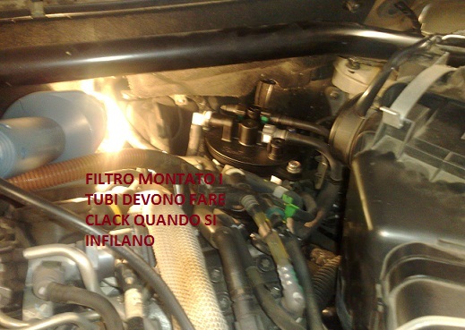 filtro - Guida pratica:sostituzione filtro gasolio 2.2 psa Foto_510