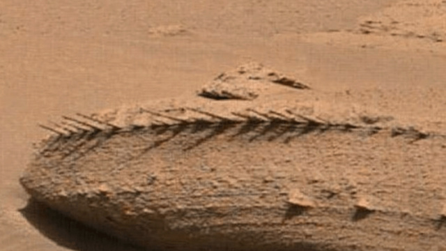 LA CURIEUSE PHOTO PRISE PAR CURIOSITY… Squele10