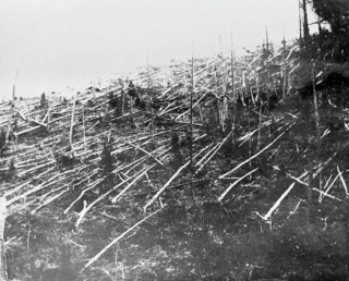 Les sons de Toungouska Tungus10