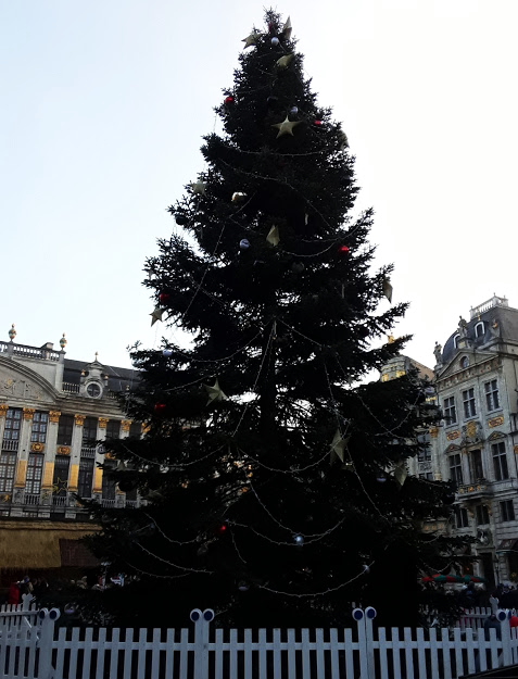 Les balades de Ninie (hors Bretagne) - Page 10 Sapin_10