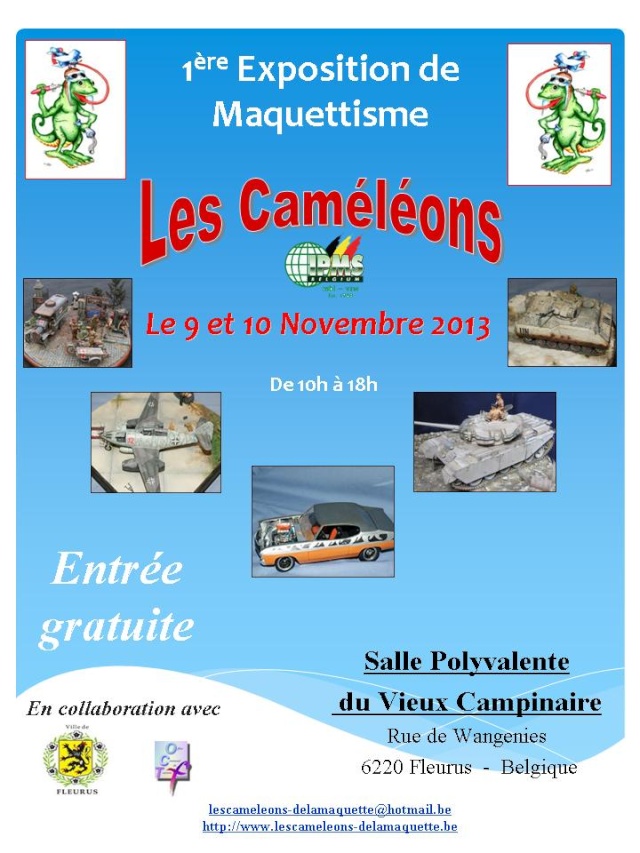 9 et 10 novembre 2013 - 1° exposition des Caméléons - 6220 FLEURUS - BELGIQUE. 220