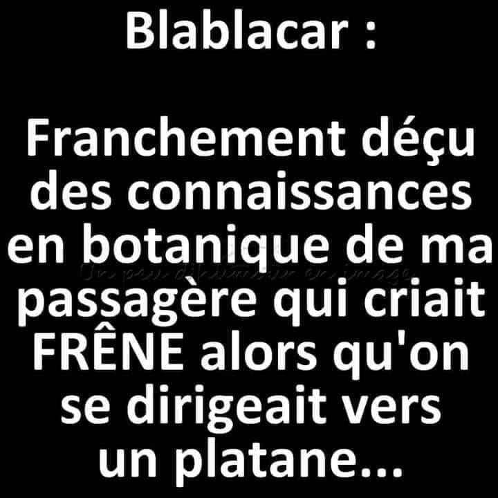 Un peu d'humour dans ce monde de brutes (5) - Page 25 423810