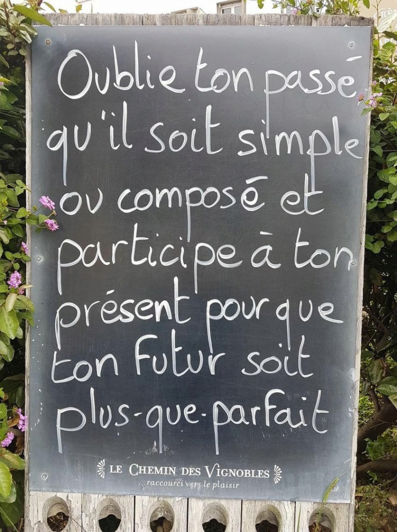 Un peu d'humour dans ce monde de brutes (5) - Page 29 434510